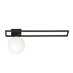 Emibig светильник Imago 1C Black/Opal цена и информация | Потолочные светильники | pigu.lt