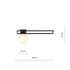 Emibig светильник Imago 1C Black/Opal цена и информация | Потолочные светильники | pigu.lt