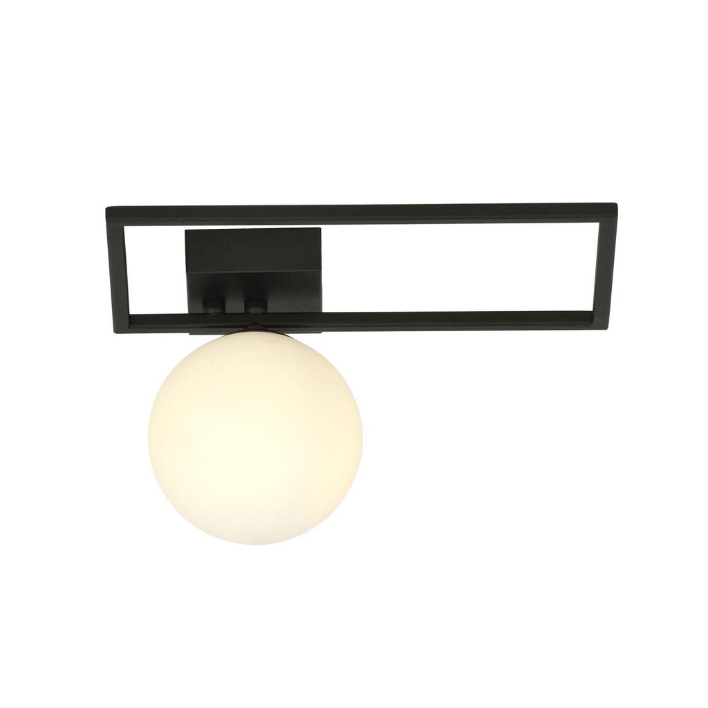Emibig šviestuvas Imago 1D Black/Opal kaina ir informacija | Lubiniai šviestuvai | pigu.lt