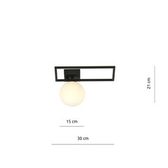 Emibig светильник Imago 1D Black/Opal цена и информация | Потолочные светильники | pigu.lt