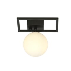 Emibig светильник Imago 1E Black/Opal цена и информация | Потолочные светильники | pigu.lt