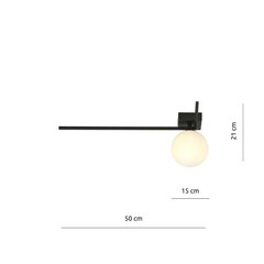 Emibig светильник Imago 1F Black/Opal цена и информация | Потолочные светильники | pigu.lt