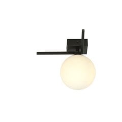 Emibig светильник Imago 1G Black/Opal цена и информация | Потолочные светильники | pigu.lt