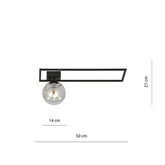 Emibig светильник Imago 1B Black/Grafit цена и информация | Потолочные светильники | pigu.lt