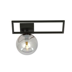 Emibig светильник Imago 1D Black/Grafit цена и информация | Потолочные светильники | pigu.lt