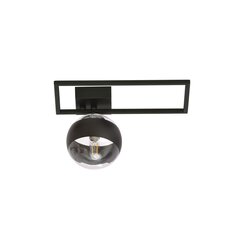 Emibig светильник Imago 1D Black/Stripe цена и информация | Потолочные светильники | pigu.lt
