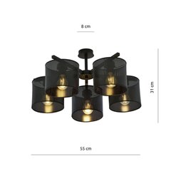 Светильник Emibig Jordan 5 Black цена и информация | Потолочные светильники | pigu.lt