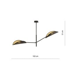 Emibig светильник Vene 2 Black/Gold цена и информация | Люстры | pigu.lt