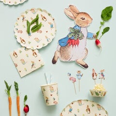 Popierinės vienkartinės lėkštutės Meri Meri "Peter Rabbit" kaina ir informacija | Vienkartiniai indai šventėms | pigu.lt