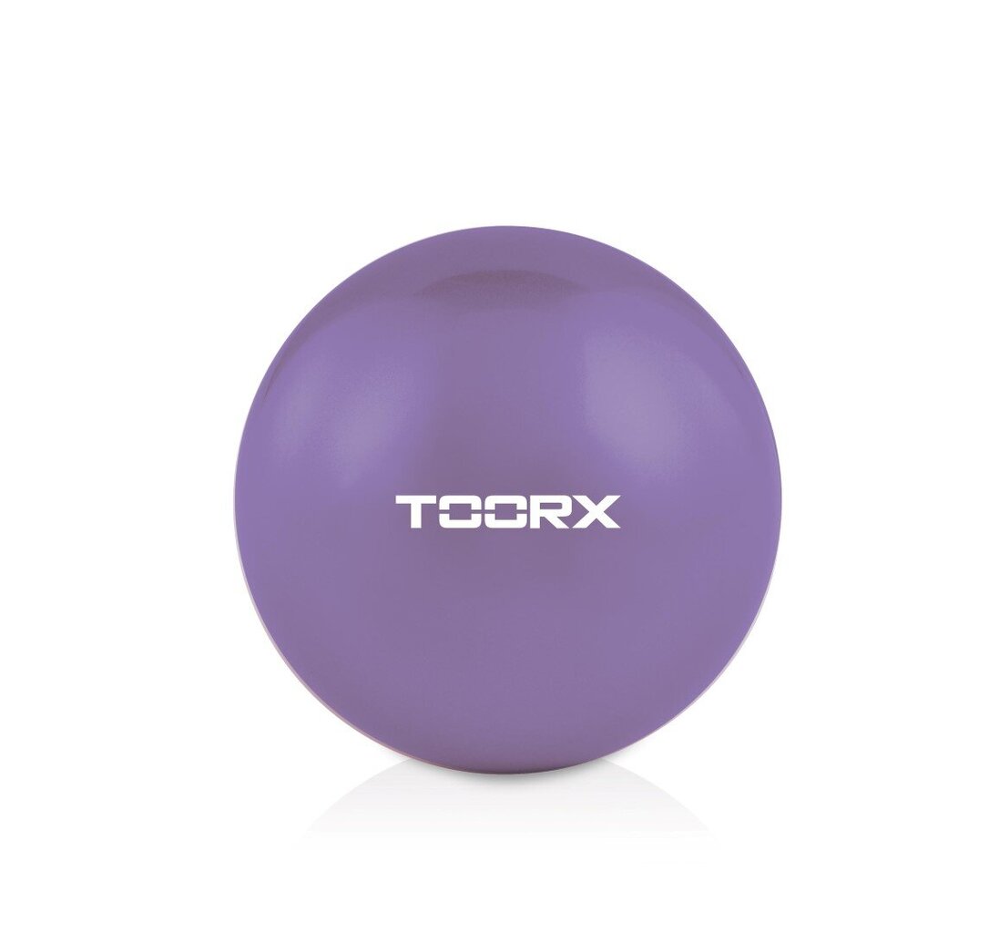 Svorinis kamuolys Toorx AHF066 1,5 kg kaina ir informacija | Gimnastikos kamuoliai | pigu.lt