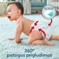 Sauskelnės-kelnaitės PAMPERS Premium Care Pants Monthly Pack 3 dydis, 6-11 kg, 144 vnt. цена и информация | Sauskelnės | pigu.lt