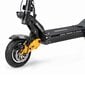 Elektrinis paspirtukas Beaster Scooter Diablo PRO, 2400 W, 60 V, 24 Ah kaina ir informacija | Elektriniai paspirtukai | pigu.lt