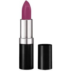 Lūpų dažai Miss Sporty Colour To Last Matte 202 Magic Plum, 4g kaina ir informacija | Lūpų dažai, blizgiai, balzamai, vazelinai | pigu.lt