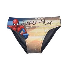 Детские плавки Spiderman цена и информация | Плавательные шорты для мальчиков. | pigu.lt