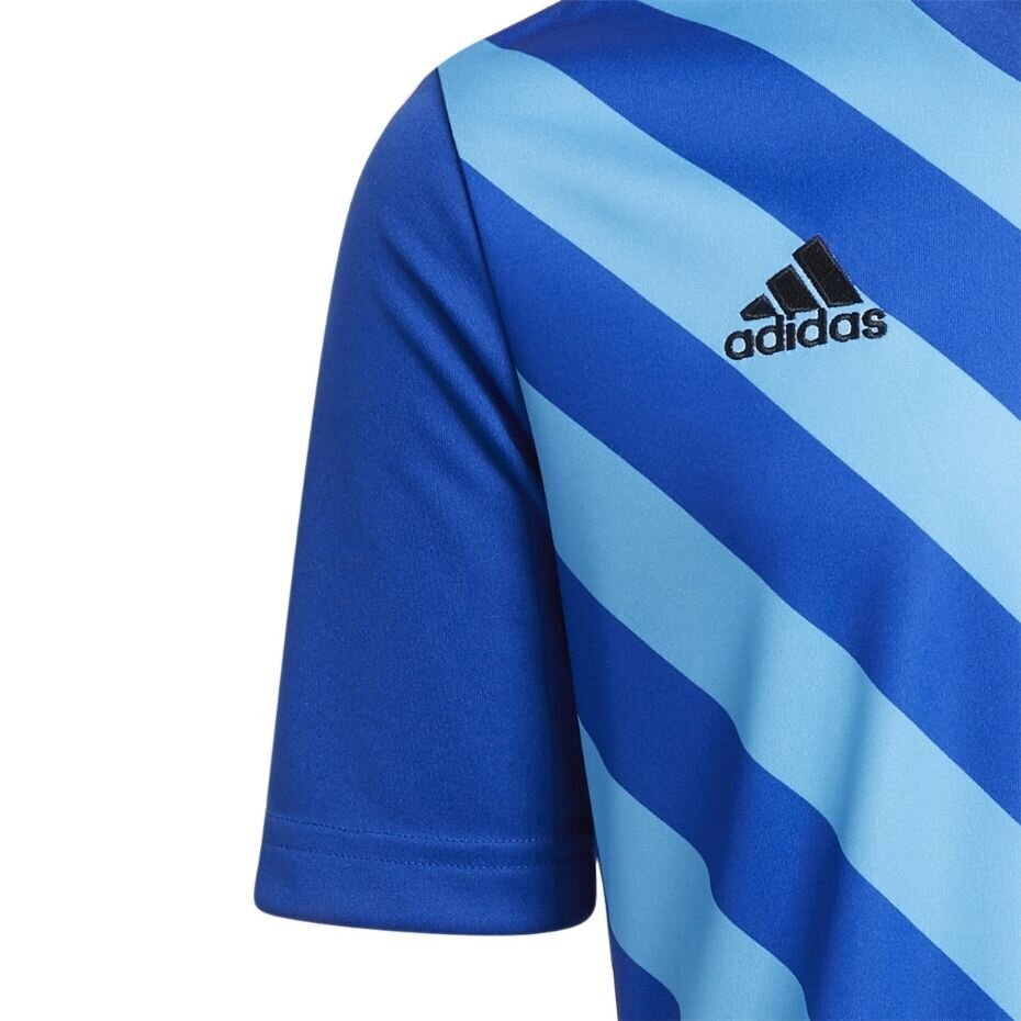 Vaikiški marškinėliai Adidas Entrada 22 HF0130 Graphic Jersey , mėlyni kaina ir informacija | Futbolo apranga ir kitos prekės | pigu.lt