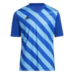 Vaikiški marškinėliai Adidas Entrada 22 HF0130 Graphic Jersey , mėlyni kaina ir informacija | Adidas teamwear Spоrto prekės | pigu.lt