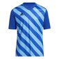 Vaikiški marškinėliai Adidas Entrada 22 HF0130 Graphic Jersey , mėlyni kaina ir informacija | Futbolo apranga ir kitos prekės | pigu.lt