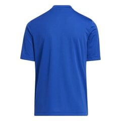 Детская футболка Adidas Entrada 22 HF0130 Графический трикотаж , синий цена и информация | Футбольная форма и другие товары | pigu.lt