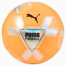 Futbolo kamuolys Puma Cage цена и информация | Футбольные мячи | pigu.lt