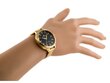 Moteriškas laikrodis Gino Rossi 10296B zg680c kaina ir informacija | Moteriški laikrodžiai | pigu.lt
