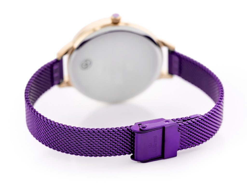 Moteriškas laikrodis Gino Rossi 10296B zg680k цена и информация | Moteriški laikrodžiai | pigu.lt
