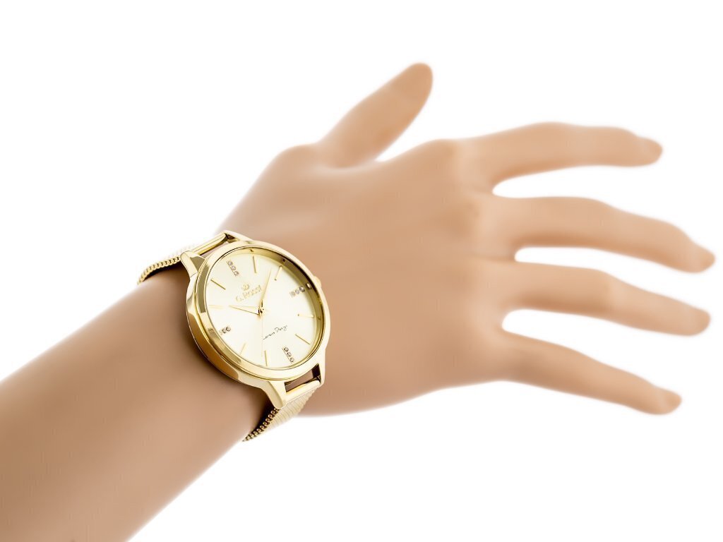 Moteriškas laikrodis Gino Rossi 10296B4-4D1 zg821c цена и информация | Moteriški laikrodžiai | pigu.lt