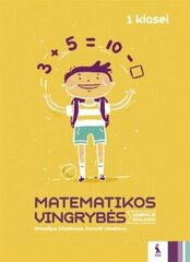 Matematikos užduotys gabiems vaikams Matematikos vingrybės 1 цена и информация | Рабочие тетради | pigu.lt