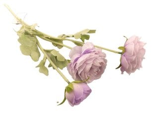 Vėdrynas kaina ir informacija | Dirbtinės gėlės | pigu.lt