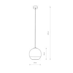 Подвесной светильник Nowodvorski GLOBE PLUS S 7605 цена и информация | Люстры | pigu.lt