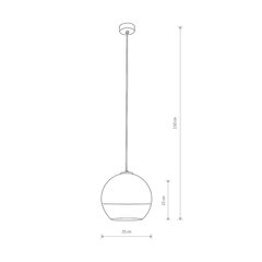 Подвесной светильник Nowodvorski GLOBE PLUS M 7606 цена и информация | Подвесной светильник | pigu.lt