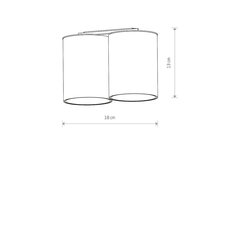 Потолочный светильник Nowodvorski EYE TONE 7665 цена и информация | Потолочные светильники | pigu.lt