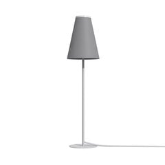 Настольная лампа Nowodvorski TRIFLE 7760 цена и информация | Настольные светильники | pigu.lt