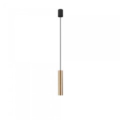 Светильник Nowodvorski Baton 7851, черный/золотой цвет цена и информация | Подвесной светильник | pigu.lt