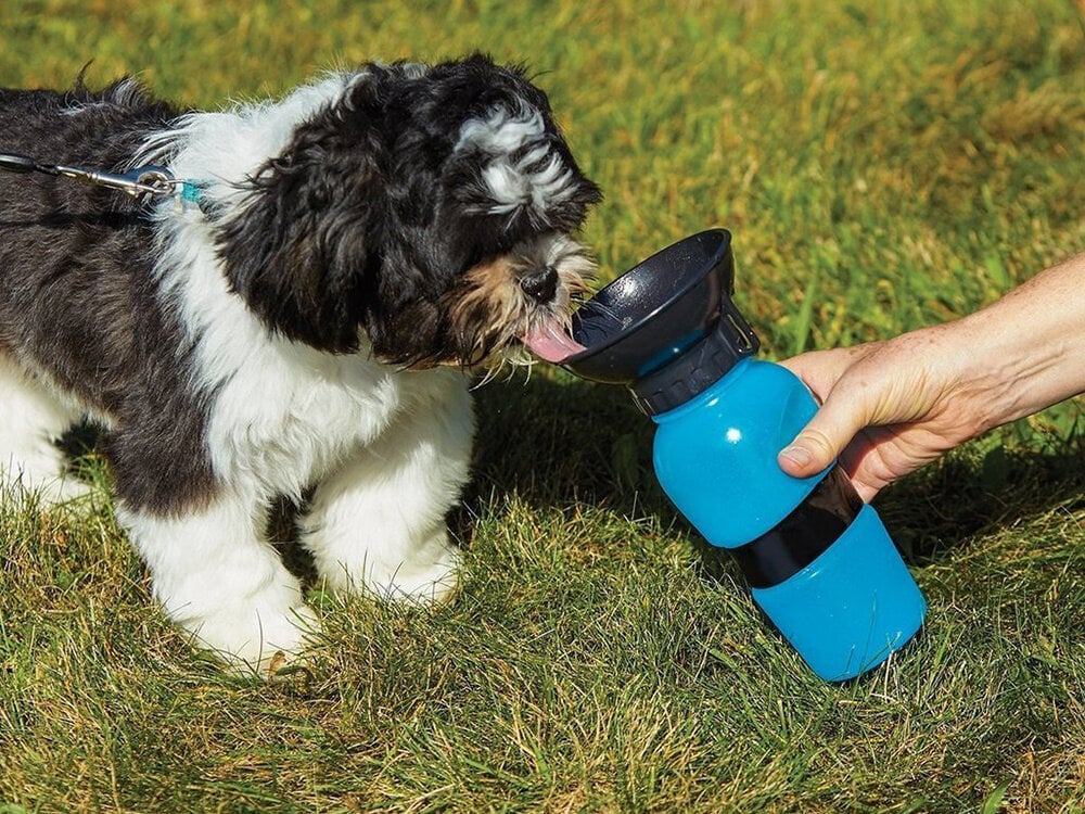 Turistinis vandens butelis šuniui kaina ir informacija | Kelioniniai reikmenys | pigu.lt