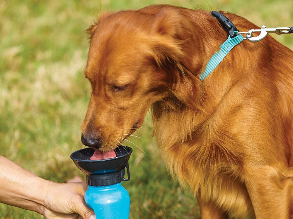 Turistinis vandens butelis šuniui kaina ir informacija | Kelioniniai reikmenys | pigu.lt