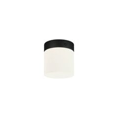 Потолочный светильник Nowodvorski Cayo 8055, черный цена и информация | Потолочные светильники | pigu.lt