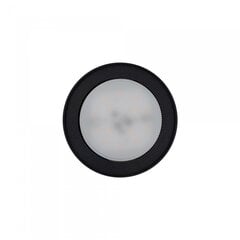 Потолочный светильник Nowodvorski FLEA 8203 цена и информация | Потолочные светильники | pigu.lt