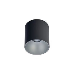 Потолочный светильник Nowodvorski POINT TONE 8223 цена и информация | Потолочные светильники | pigu.lt