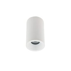 Потолочный светильник Nowodvorski Alpha 8362, белый цвет цена и информация | Потолочные светильники | pigu.lt