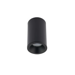 Потолочный светильник Nowodvorski Alpha 8363, черный цвет цена и информация | Потолочные светильники | pigu.lt
