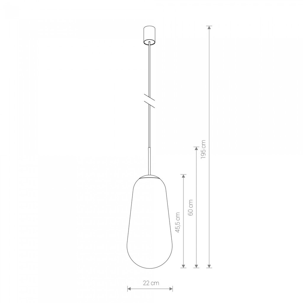 Nowodvorski Lighting pakabinamas šviestuvas Pear kaina ir informacija | Pakabinami šviestuvai | pigu.lt