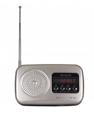 Orava RP130S цена и информация | Радиоприемники и будильники | pigu.lt