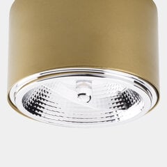 Потолочный светильник TK Lighting Moris 3349 цена и информация | Потолочные светильники | pigu.lt