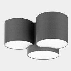 Потолочный светильник TK Lighting Mona gray 4392 цена и информация | Потолочные светильники | pigu.lt