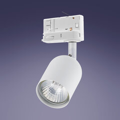 Встраиваемый в направляющие светильник TK LIGHTING 6057 цена и информация | Трековые светильники и шинопроводы | pigu.lt