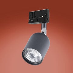 Встраиваемый в направляющие светильник TK LIGHTING 6058 цена и информация | Трековые светильники и шинопроводы | pigu.lt