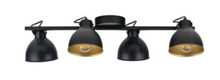 Потолочный светильник MARS 32272 цена и информация | Потолочные светильники | pigu.lt