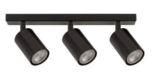 Потолочный светильник ZOOM 33311 цена и информация | Потолочные светильники | pigu.lt