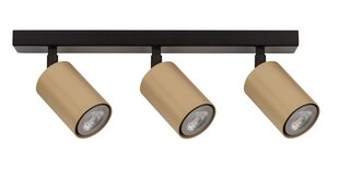 Потолочный светильник ZOOM 33321 цена и информация | Потолочные светильники | pigu.lt