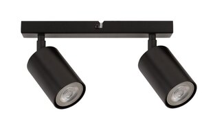 Потолочный светильник ZOOM 33310 цена и информация | Потолочные светильники | pigu.lt